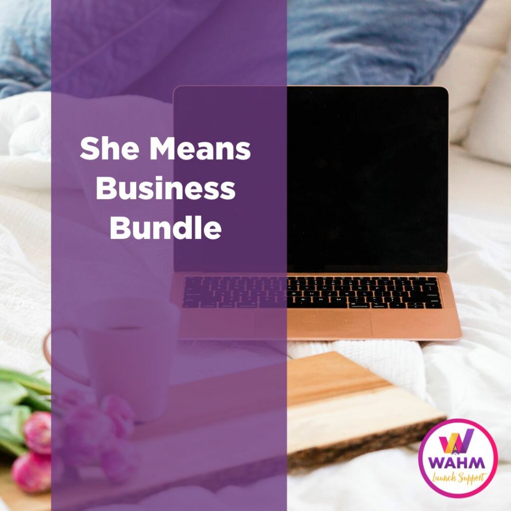 She Means Business Bundle image - gold laptop on a bed with purple banner over it with the title. The title of the product we sold in the $10k in 10 Days launch. 