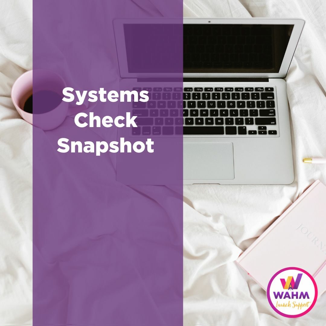 Systems Check Snapshot